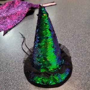 Witch Halloween Costume for Pets (XS/S)